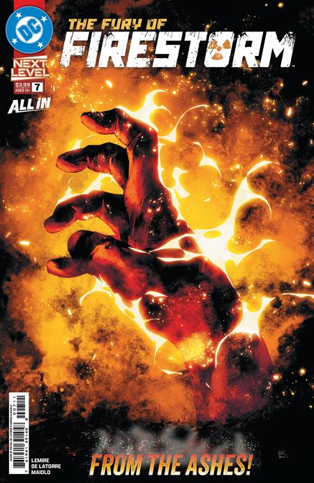 FURY OF FIRESTORM #7 (OF 8)
