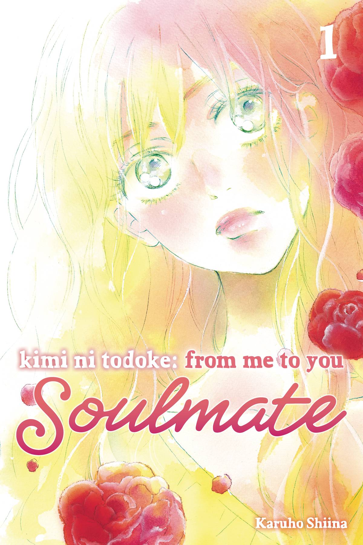 KIMI NI TODOKE: SOULMATE VOL 01