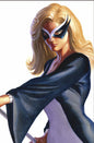 SPIDER-MAN/HULK: FIRE AND BRIMSTONE #2 ALEX ROSS TIMELESS VIRGIN VARIANT