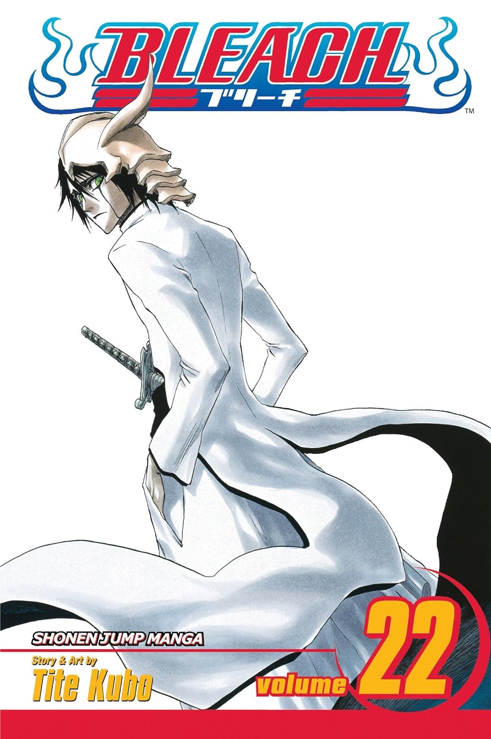 BLEACH VOL 22