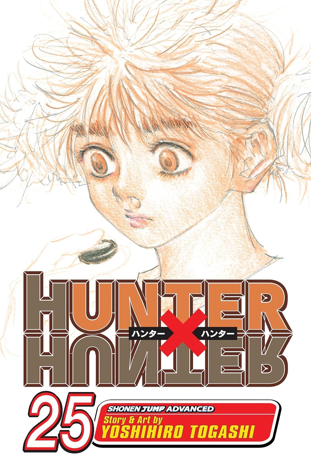 HUNTER X HUNTER VOL 25