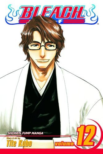 BLEACH VOL 12