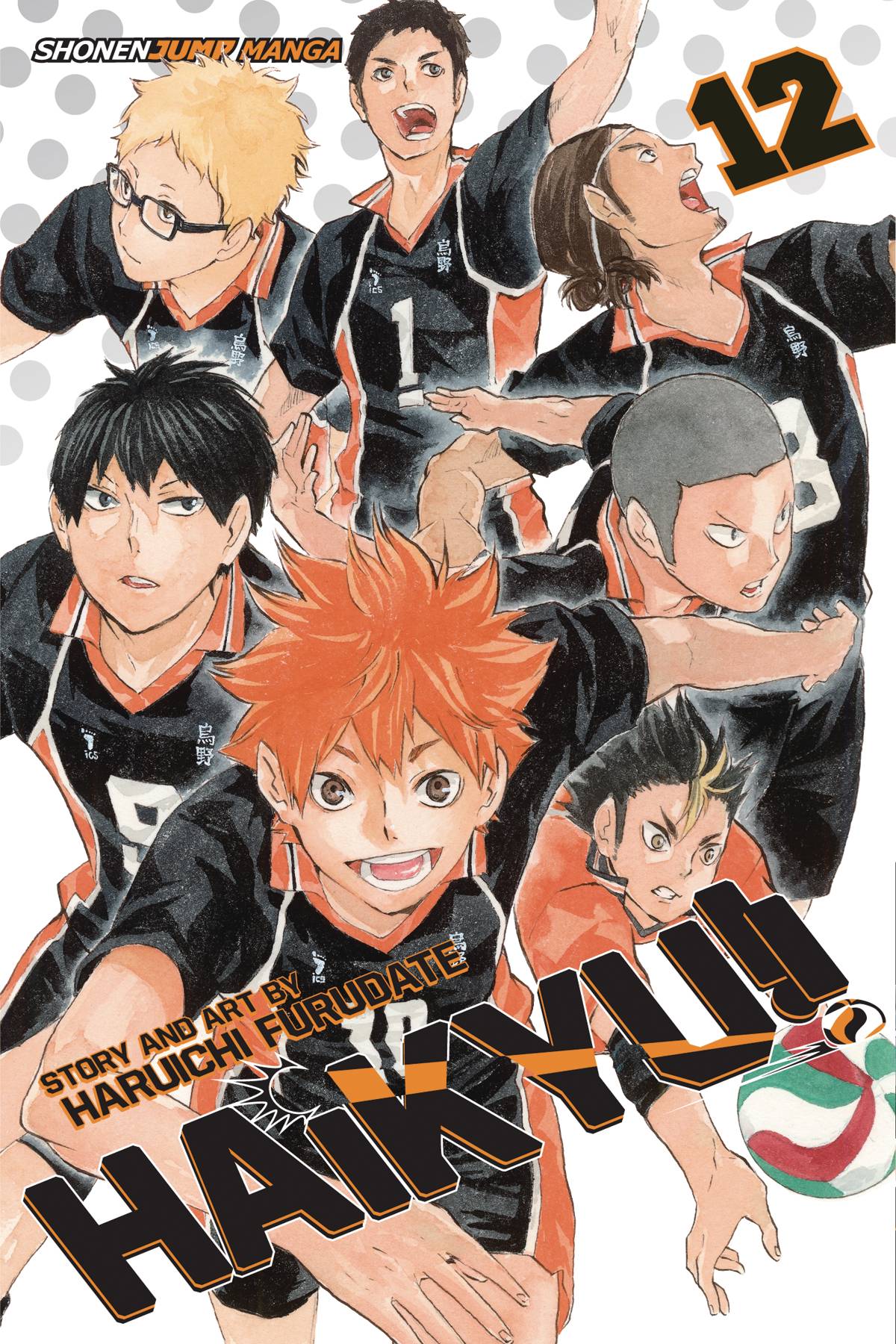 HAIKYU VOL 12