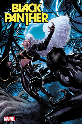 BLACK PANTHER (2021) #6 1/25 COCCOLO VARIANT